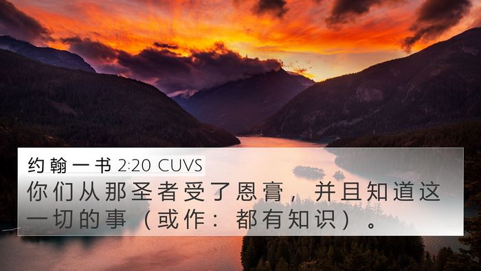 约 翰 一 书 2:20 CUVS Bible Verse Image