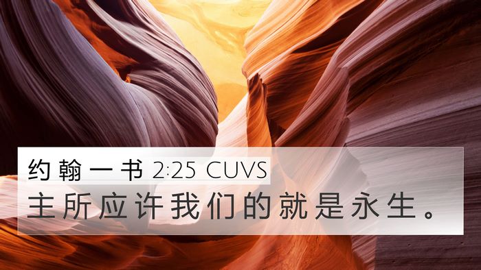 约 翰 一 书 2:25 CUVS Bible Verse Image