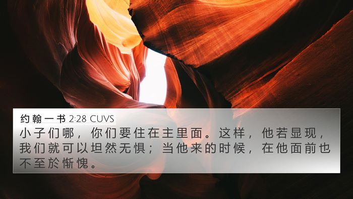 约 翰 一 书 2:28 CUVS Bible Verse Image