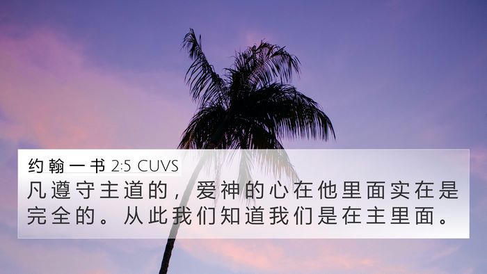 约 翰 一 书 2:5 CUVS Bible Verse Image