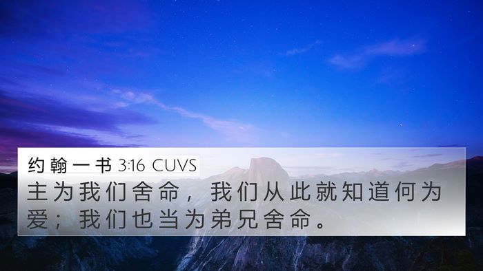 约 翰 一 书 3:16 CUVS Bible Verse Image