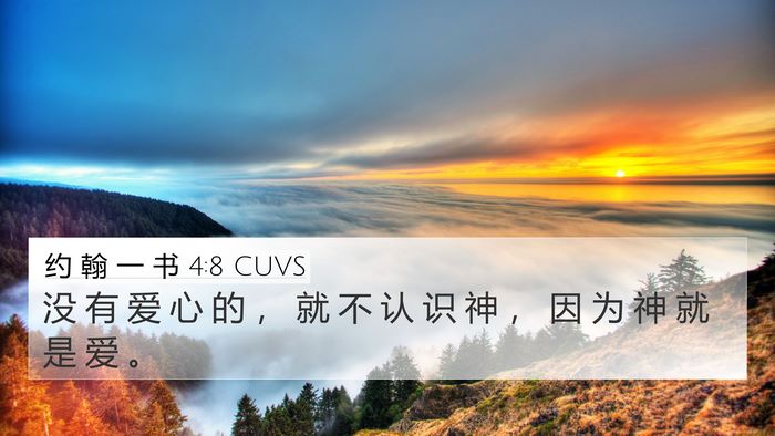 约 翰 一 书 4:8 CUVS Bible Verse Image