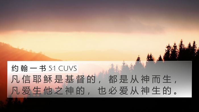 约 翰 一 书 5:1 CUVS Bible Verse Image