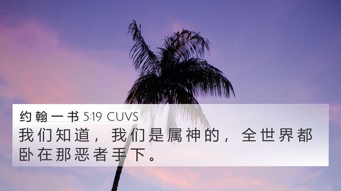 约 翰 一 书 5:19 CUVS Bible Verse Image