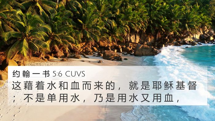 约 翰 一 书 5:6 CUVS Bible Verse Image