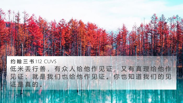 约 翰 三 书 1:12 CUVS Bible Verse Image