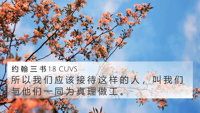 约 翰 三 书 1:8 CUVS 4K Wallpaper - 所 以 我 们 应 该 接 待 这 样 的 人 - 4K Wallpaper Bible Verse