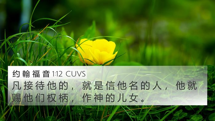 约 翰 福 音 1:12 CUVS Bible Verse Image