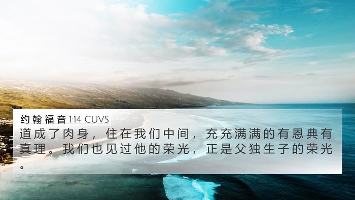 约 翰 福 音 1:14 CUVS Bible Verse Image