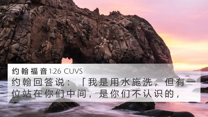 约 翰 福 音 1:26 CUVS Bible Verse Image