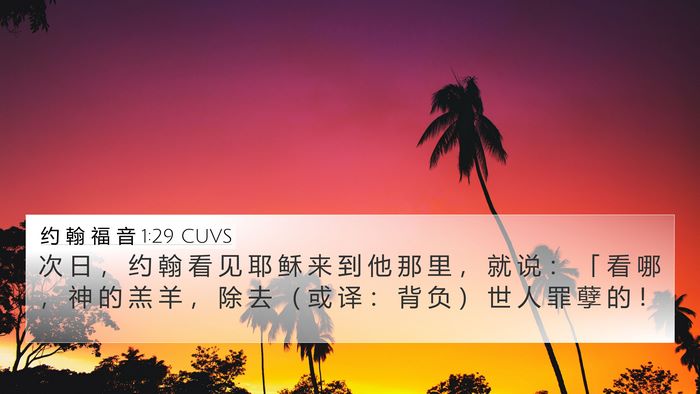 约 翰 福 音 1:29 CUVS Bible Verse Image