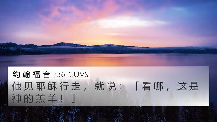 约 翰 福 音 1:36 CUVS Bible Verse Image