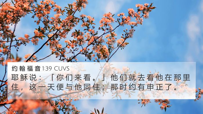 约 翰 福 音 1:39 CUVS Bible Verse Image