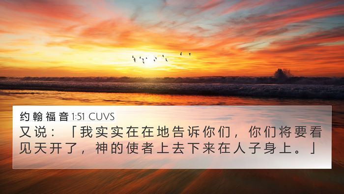 约 翰 福 音 1:51 CUVS Bible Verse Image
