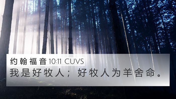 约 翰 福 音 10:11 CUVS Bible Verse Image
