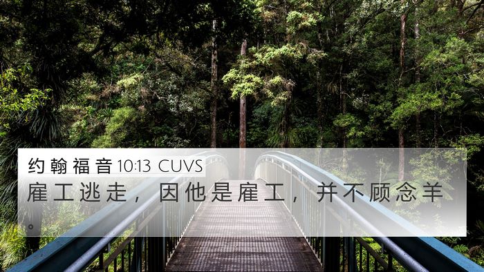 约 翰 福 音 10:13 CUVS 4K Wallpaper - 雇 工 逃 走 ， 因 他 是 雇 工 ， 并 - 4K Wallpaper Bible Verse