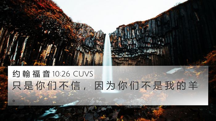 约 翰 福 音 10:26 CUVS Bible Verse Image