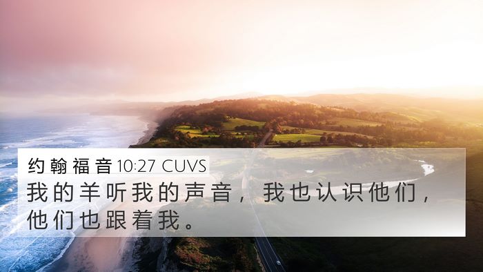约 翰 福 音 10:27 CUVS Bible Verse Image