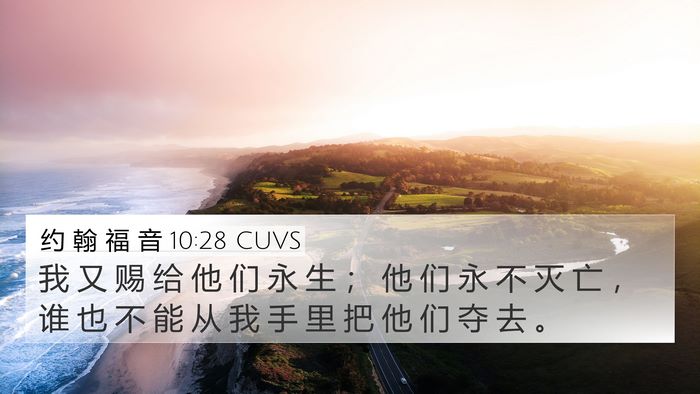 约 翰 福 音 10:28 CUVS Bible Verse Image