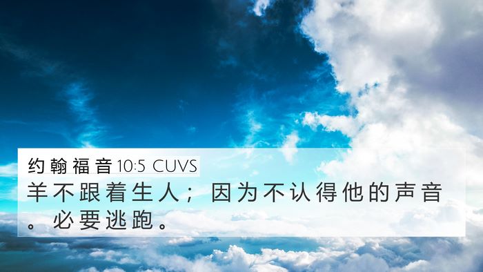 约 翰 福 音 10:5 CUVS Bible Verse Image
