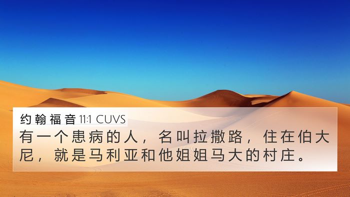 约 翰 福 音 11:1 CUVS Bible Verse Image