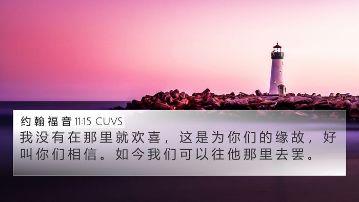 约 翰 福 音 11:15 CUVS 4K Wallpaper - 我 没 有 在 那 里 就 欢 喜 ， 这 是 - 4K Wallpaper Bible Verse