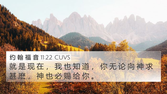 约 翰 福 音 11:22 CUVS Bible Verse Image