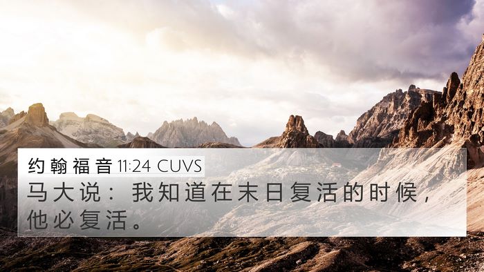约 翰 福 音 11:24 CUVS 4K Wallpaper - 马 大 说 ： 我 知 道 在 末 日 复 活 - 4K Wallpaper Bible Verse