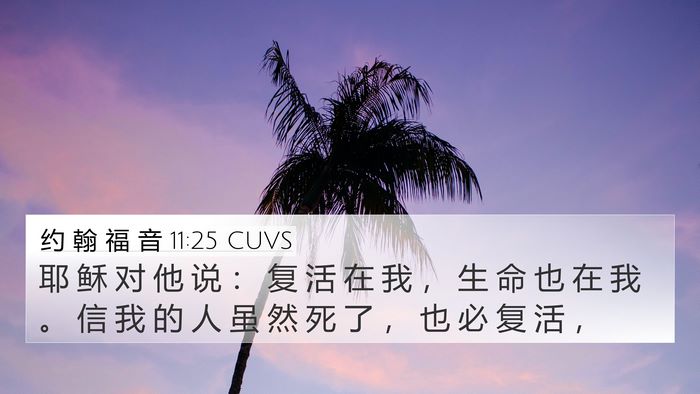 约 翰 福 音 11:25 CUVS Bible Verse Image