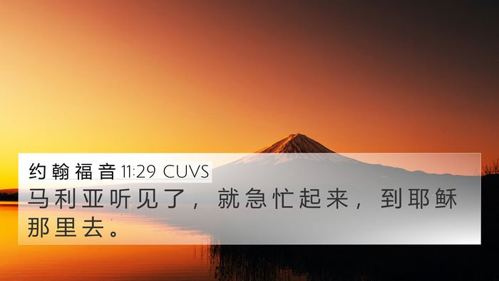 约 翰 福 音 11:29 CUVS 4K Wallpaper - 马 利 亚 听 见 了 ， 就 急 忙 起 来 - 4K Wallpaper Bible Verse
