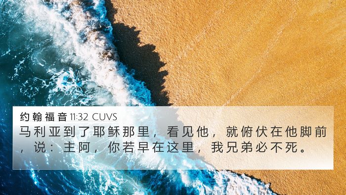 约 翰 福 音 11:32 CUVS Bible Verse Image