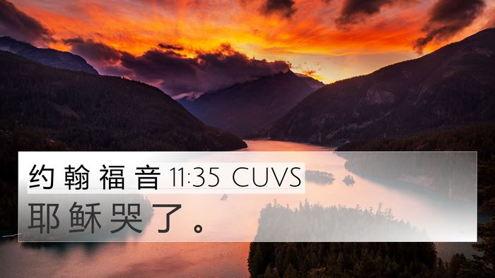 约 翰 福 音 11:35 CUVS Bible Verse Image