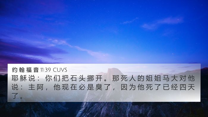 约 翰 福 音 11:39 CUVS Bible Verse Image