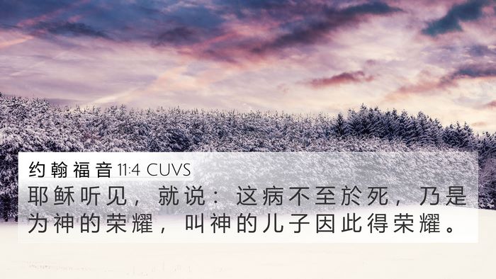 约 翰 福 音 11:4 CUVS Bible Verse Image