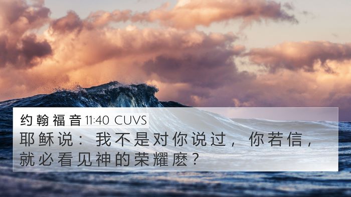 约 翰 福 音 11:40 CUVS Bible Verse Image