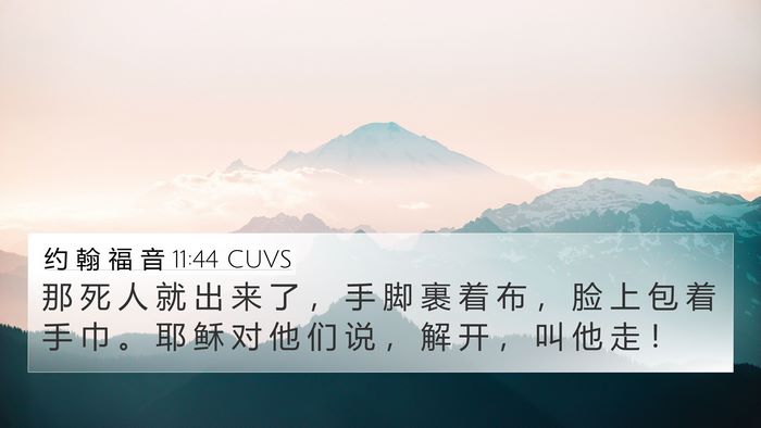 约 翰 福 音 11:44 CUVS Bible Verse Image