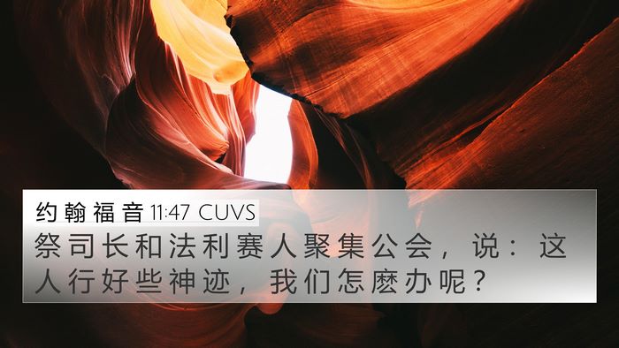 约 翰 福 音 11:47 CUVS Bible Verse Image