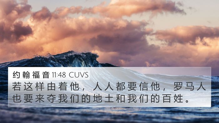 约 翰 福 音 11:48 CUVS Bible Verse Image