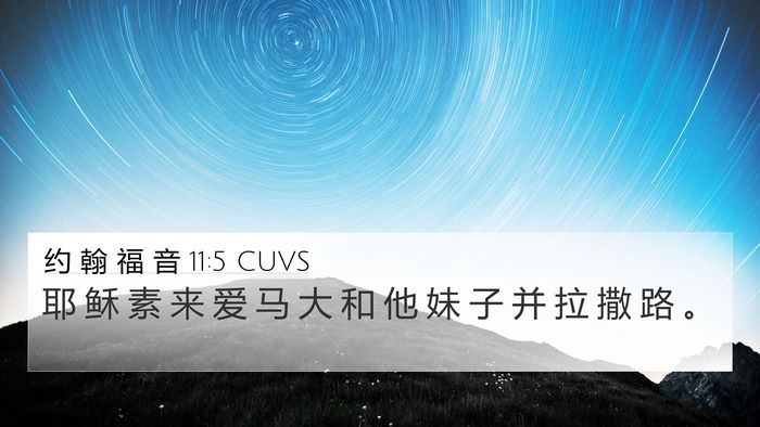 约 翰 福 音 11:5 CUVS Bible Verse Image