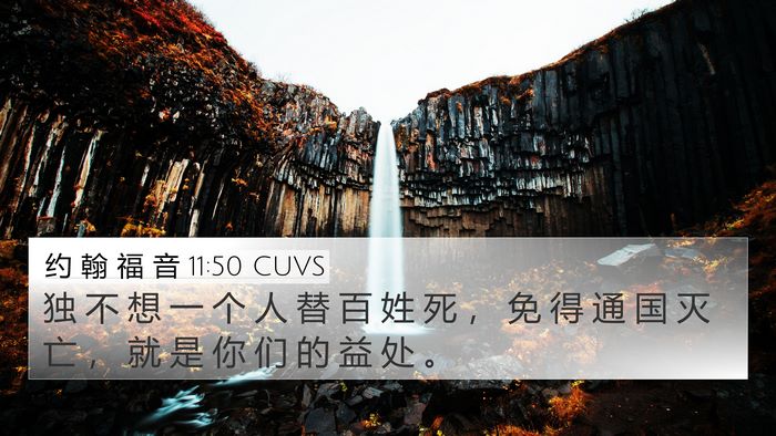 约 翰 福 音 11:50 CUVS Bible Verse Image