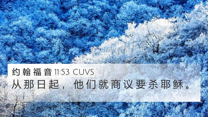 约 翰 福 音 11:53 CUVS Bible Verse Image