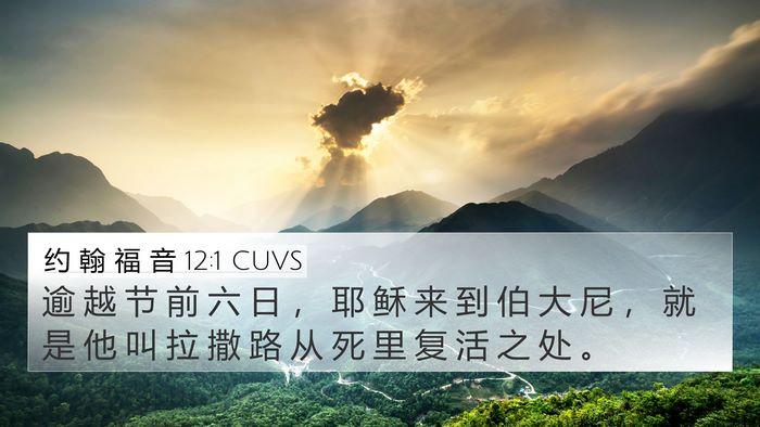 约 翰 福 音 12:1 CUVS Bible Verse Image