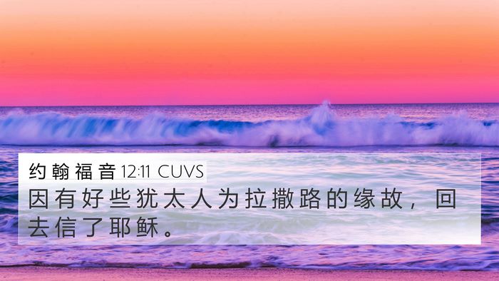 约 翰 福 音 12:11 CUVS 4K Wallpaper - 因 有 好 些 犹 太 人 为 拉 撒 路 的 - 4K Wallpaper Bible Verse