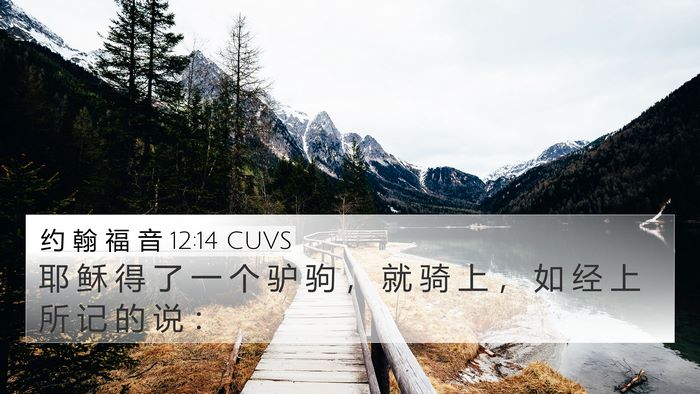 约 翰 福 音 12:14 CUVS Bible Verse Image