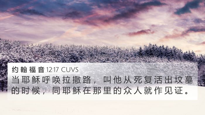 约 翰 福 音 12:17 CUVS Bible Verse Image