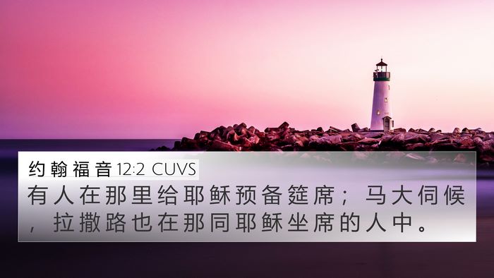 约 翰 福 音 12:2 CUVS Bible Verse Image