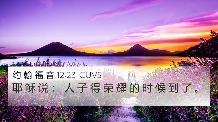 约 翰 福 音 12:23 CUVS Bible Verse Image