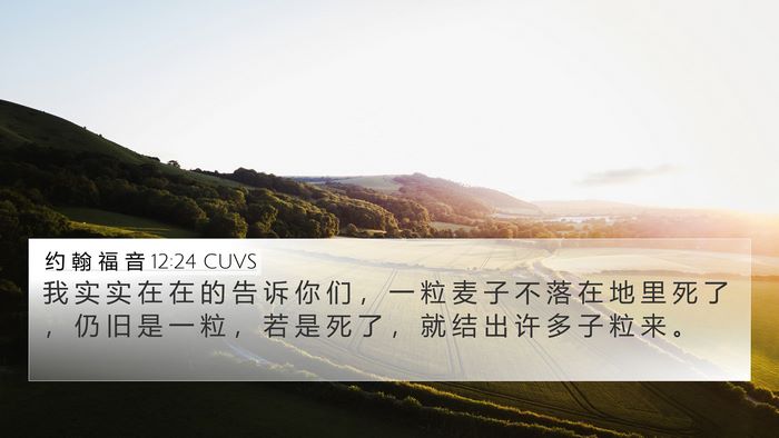 约 翰 福 音 12:24 CUVS Bible Verse Image
