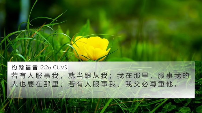 约 翰 福 音 12:26 CUVS Bible Verse Image
