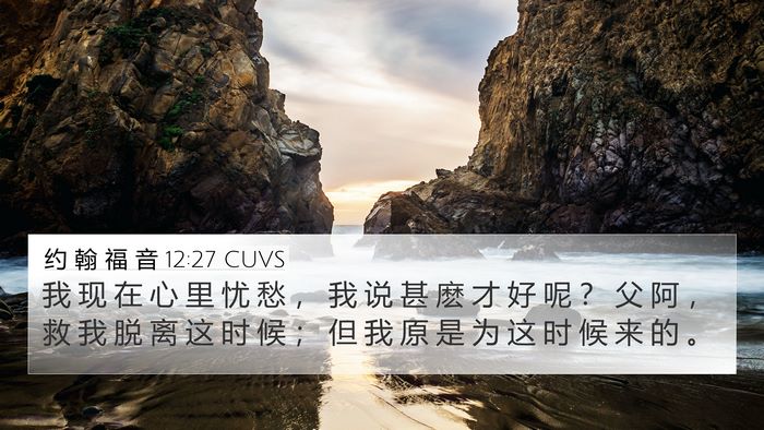 约 翰 福 音 12:27 CUVS Bible Verse Image